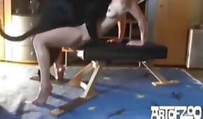 sexo de cachorro,animal fode garota