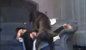 sexo de cachorro,sexo com animais