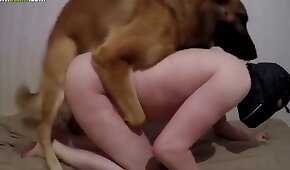 sexo de cachorro,zoológico foda pornô