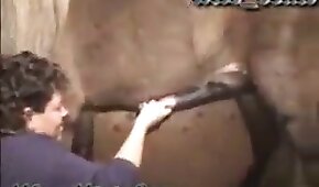 maduro,bestialidade de cavalo