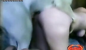 sexo de cachorro,fodendo com animais