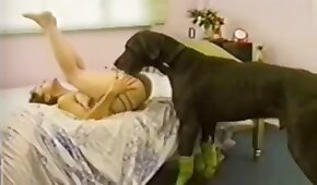 sexo de cachorro,animal fode garota