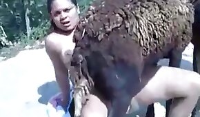 zoológico foda pornô