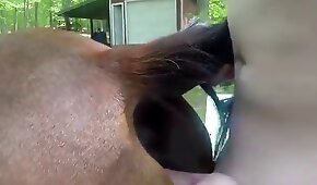 vídeo pornô brasileiro caseiro - bestialidade de cavalo,bestialidade pornô