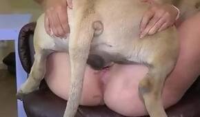 XXX Zoo Tube